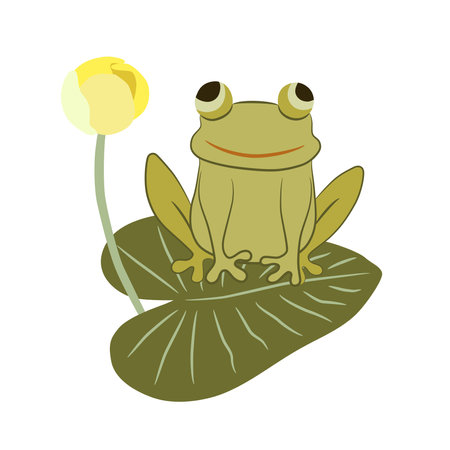 Cute frog character. The amphibian sits on a leaf with a water lily in a swamp and smiles.のイラスト素材