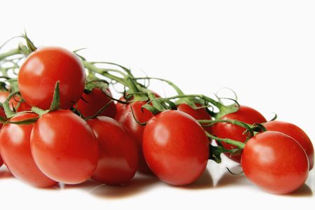 Red cherry tomatoes with a branch on a  light backgroundの写真素材