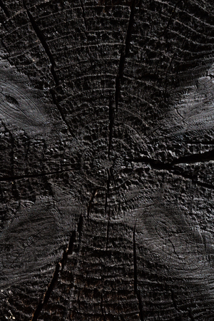 An old black wall log-cabin wood texture. Wooden backgroundの写真素材