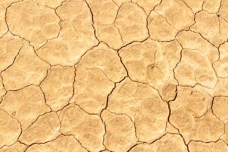 Desiccated soil. Cracked dry earth texture. Close up.