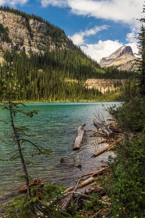 The Rocky Mountains. Lower Sherbrook Lake Yoho National Park, British Columbia, Canadaの写真素材