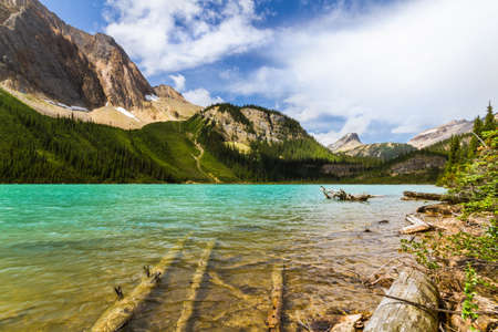The Rocky Mountains. Dead, fallen trees grace the shore of a Sherbrook Lake. Yoho National Park, British Columbia, Canadaの写真素材