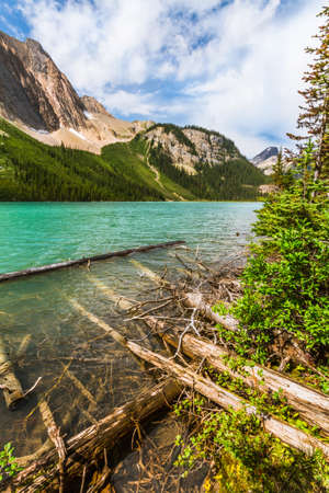 The Rocky Mountains. Dead, fallen trees grace the shore of a Sherbrook Lake. Yoho National Park, British Columbia, Canadaの写真素材