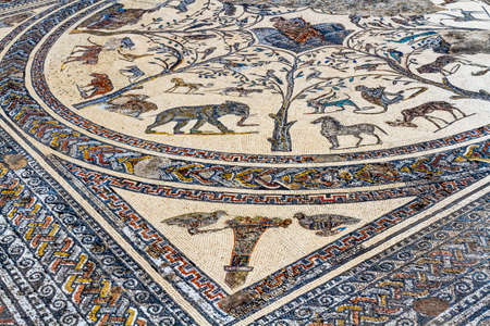 Beautiful colorful mosaic in the Roman ruins of Volubilis, Meknes region, Morocco, North Africaの写真素材