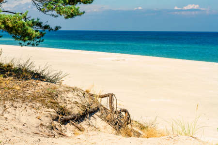 Summer landscape. A lonely beach with white sand and blue sea. View of Baltic sea coast. Hel Peninsula, Hel, Pomerania, Polandの写真素材