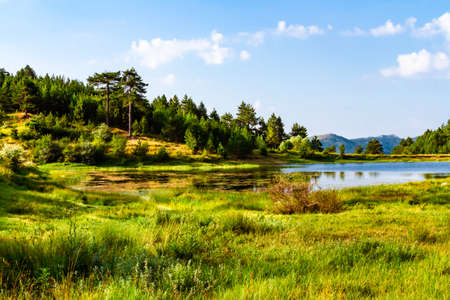 Picturesque, summer landscape. View of a peaceful pond surrounded by lush vegetation. Korca (KorÃ§a) region, Albaniaの写真素材