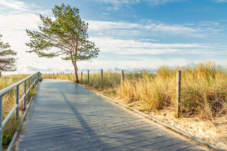 Coastal promenade along beach in Hel town on coast of Baltic Sea, Poland. Hel peninsula is popular place for summer holidays. Hel, Pomerania, Polandの写真素材