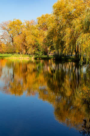 Autumn in the park. Wonderful autumn landscape with beautiful yellow and orange colored trees and reflections in a pond. Muchowiec, Katowice, Silesia, Polandの写真素材