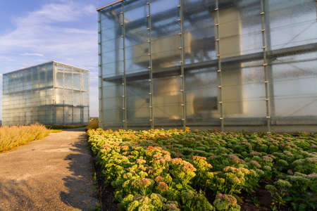 The modern, glass and iron buildings of Silesian Museum built at the site of the former coal mine "Katowice". Katowice, Polandのeditorial素材