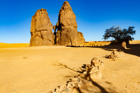 Amazing rock formation with the famous rock engraving of a crying cow (La Vache Qui Pleure ) near Djanet. Tassili n'Ajjer National Park, Algeria, Africaの写真素材