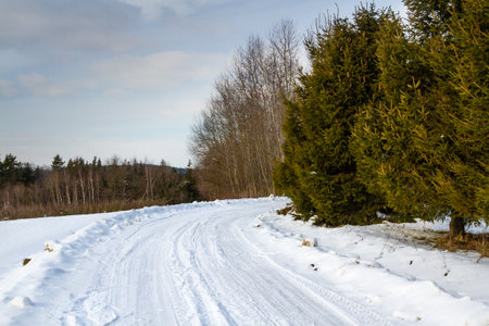 Winter scenery. Snowy rural road. Polandの写真素材