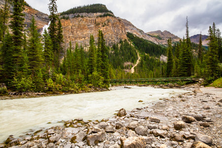 Footbridge across Kicking Horse River near Takakkaw Falls. Yoho National Park, Field, British Columbia, Canada.の写真素材