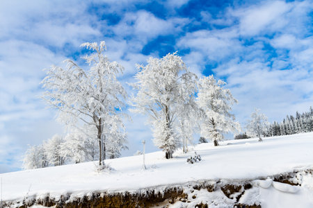 View of winter landscape. View of winter landscape. Frosted trees and bushes in Polish mountains. The Beskid mountains, Koszarawa, Silesia, Polandの写真素材