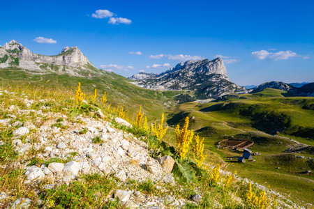 Picturesque summer mountain landscape overlooking the Dobri Do valley and Sedlena Greda peak. Sedlo pass. Durmitor National Park, Montenegroの写真素材