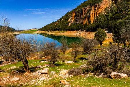The beautiful crystal clear Aguelmame Sidi Ali Lake. Khenifra National Park, Middle Atlas Mountains, Moroccoの写真素材