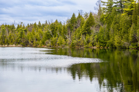 Lake Crawford in early spring. Crawford Lake is part of the Niagara Escarpment World Biosphere Reserve. Milton, Halton Region, Ontario, Canadaの写真素材