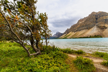 The landscape of the Canadian Rocky Mountains. Bowl Lake on a foggy cloudy day. Banff National Park, Alberta, Canadaの写真素材