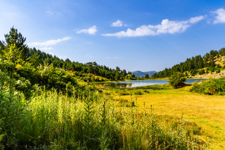 A small mountain lake surrounded by lus vegetation. A picturesque summer landscape around Voskopoja. Korca region, Albaniaの写真素材