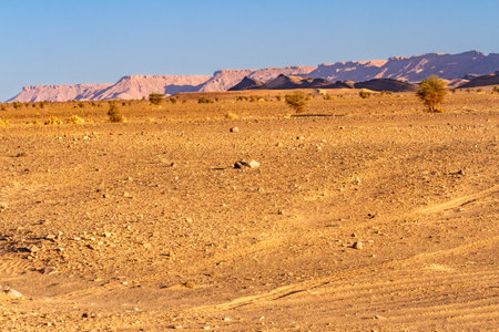 Dry flat stony desert called hamada at golden hour. Hamada desert near the town of Ouarzazate,...