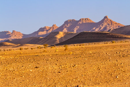 Dry flat stony desert called hamada at golden hour. Hamada desert near the town of Ouarzazate,...