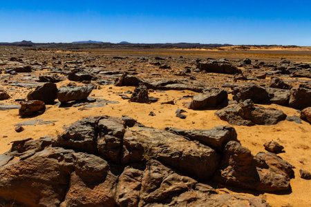 The Sahara desert. Hamada type desert. A dry, flat, rocky hamada desert. Algeria, Africaの写真素材