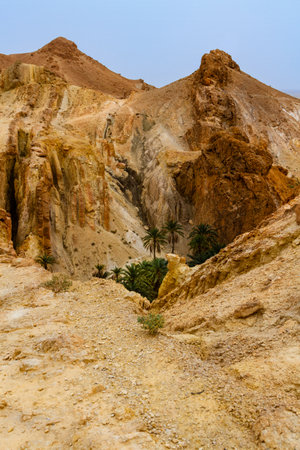 The picturesque Djebel el Negueb mountain range near the Chebika oasis. Tauzar, Tunisia, Africaの写真素材