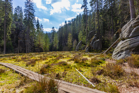 A long wooden footbridge over a marshy meadow. Reserve Adrspach-Teplice Rocks. Bohemia region, Czech Republicの写真素材