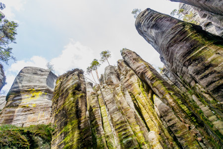 Unusual rock formations. Elephant square. National Nature Reserve Adrspach-Teplice Rocks.Bohemia region, Czech Republicの写真素材