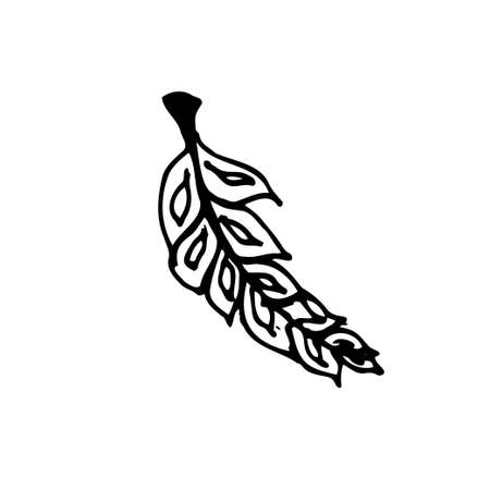 Isolated white and black vector icon flower leafs for botanic, floral, hand drawning on the white backgroundのイラスト素材