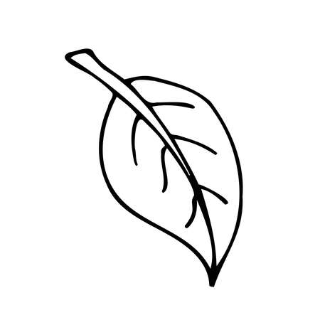 Isolated white and black vector icon flower leafのイラスト素材