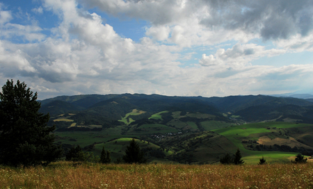 The Pieniny National Park in Polandの写真素材
