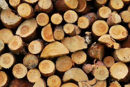 Woodenの写真素材