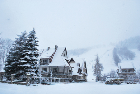 Winterのeditorial素材