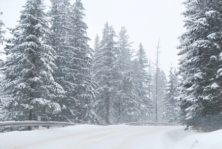 Winter
