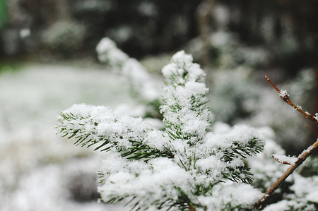 winter timeの写真素材