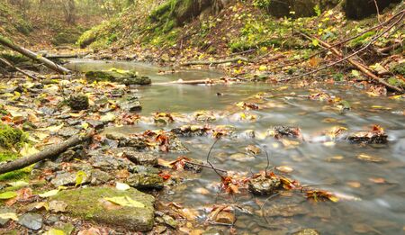 Autumnal forest stream Sufraganiec