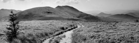 The trail towards the peak of Tarnica