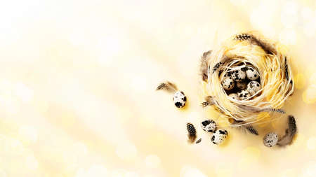 Minimal easter composition on banner. Nest with easter eggs and feathers on bright shiny yellow background close up. Flat lay with copy space.の写真素材