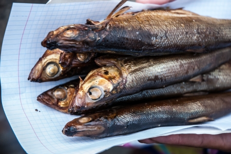 Omul fish, Baikal lake, Russia