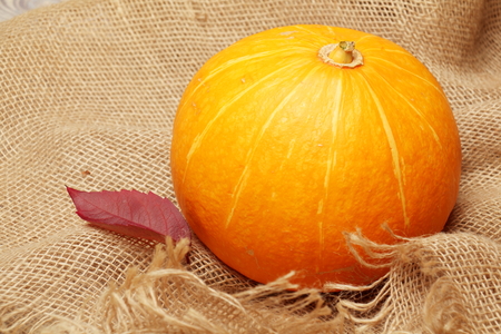 Autumn pumpkin on a burlap in a rustic style.の写真素材