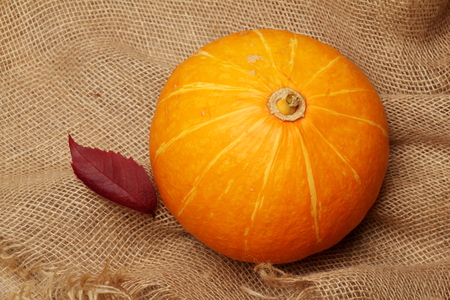 Pumpkin on linen background with autumn leaves grapes.の写真素材