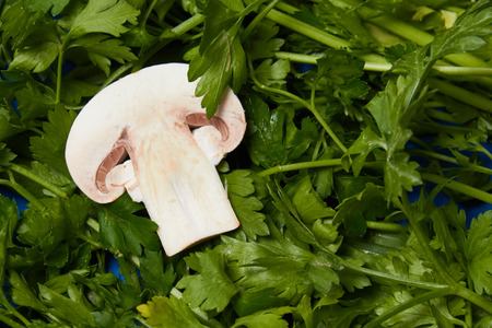 Button mushrooms and fresh parsley on a blue background.の写真素材