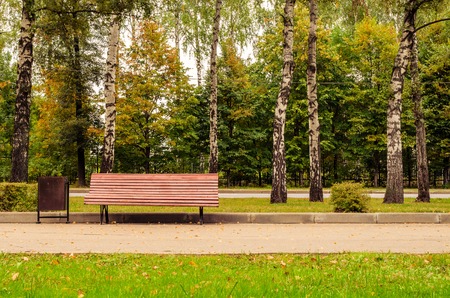 Walking and bench in parkの写真素材
