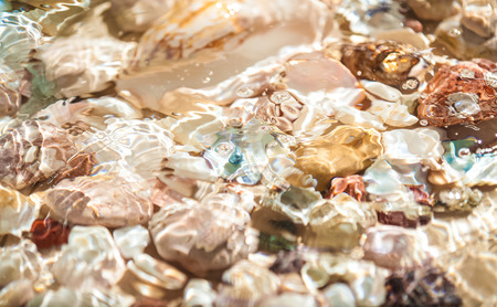 Texture of seashells and pearl lying on sea shore underwaterの写真素材