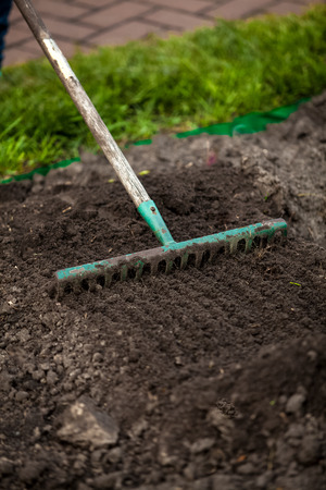 Closeup photo of rake on garden bedの写真素材