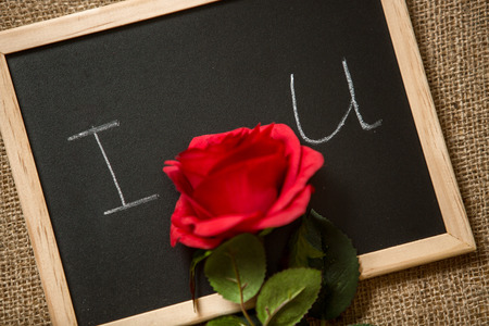 Closeup photo of red rose lying on declaration of love written on blackboardの写真素材