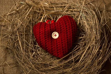 Closeup photo of red knitted heart lying in birds nestの写真素材