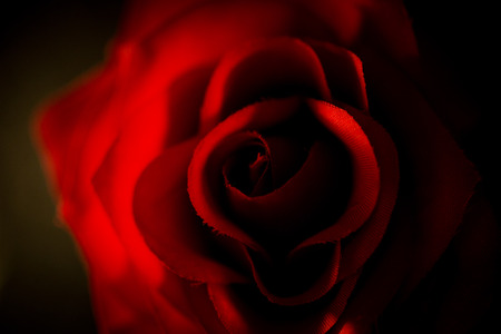 Closeup photo of artificial red rose shot against black backgroundの写真素材