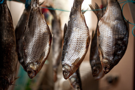 Closeup photo of salted bass drying on stick