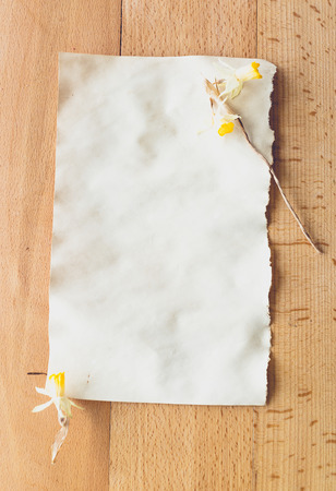 Dried yellow flowers lying on old blank piece of paper. Place for textの写真素材